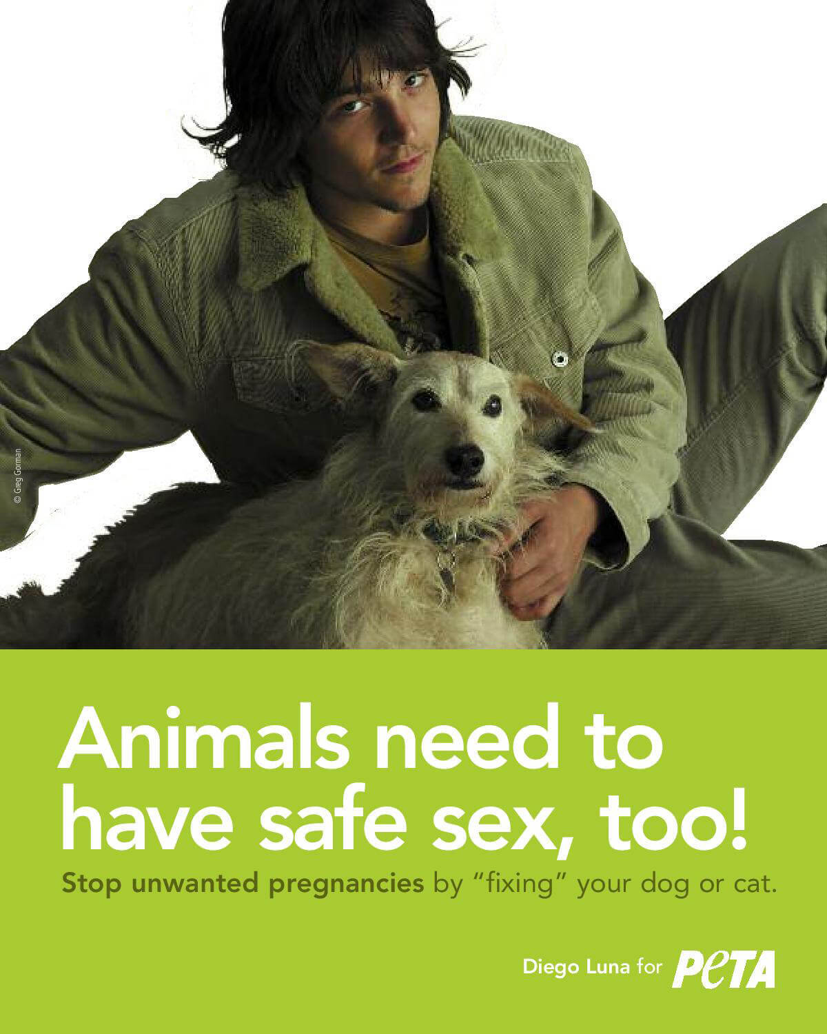 Pet Who Handles Our Sexual Needs