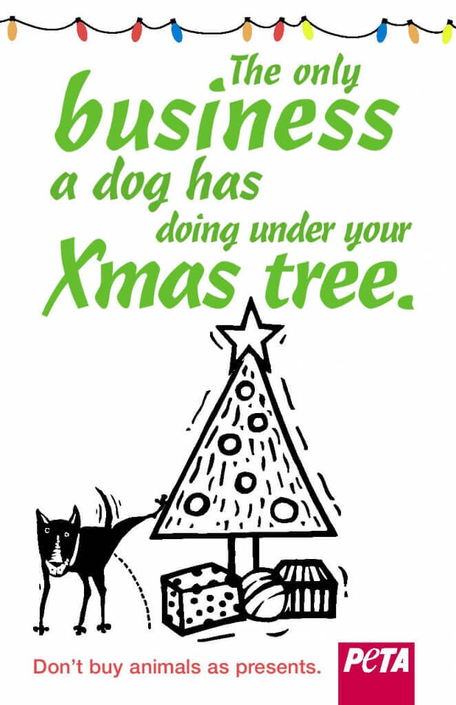 Christmas Companion Animals PSA