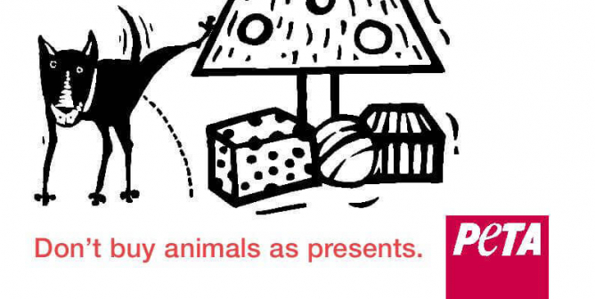 Christmas Companion Animals PSA