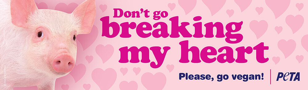 Don’t Go Breaking My Heart (Billboard)