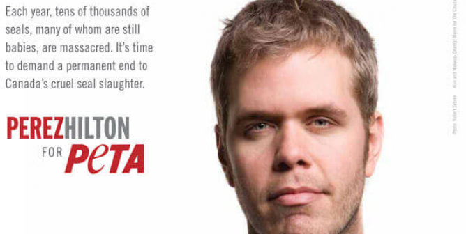 Perez Hilton Seal PSA