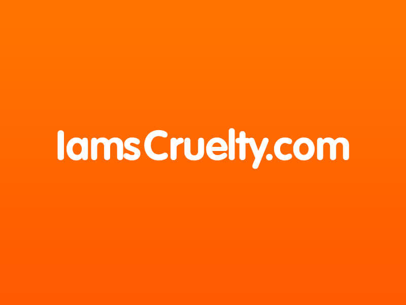 Iams Cruelty