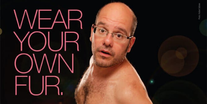 David Cross PSA