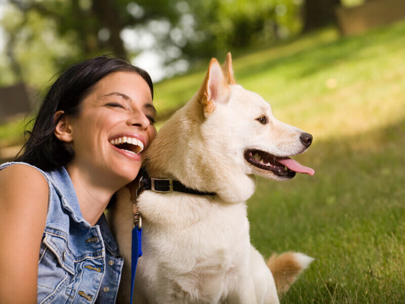 Caring for Animal Companions