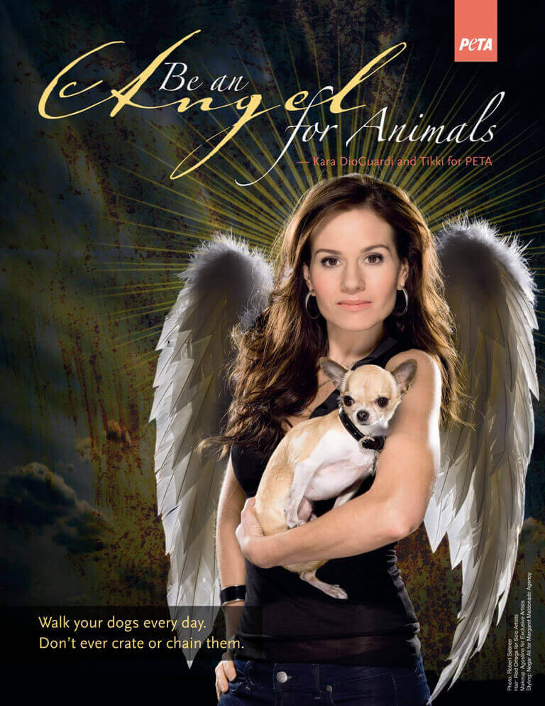 Kara DioGuardi Angel for Animals PSA