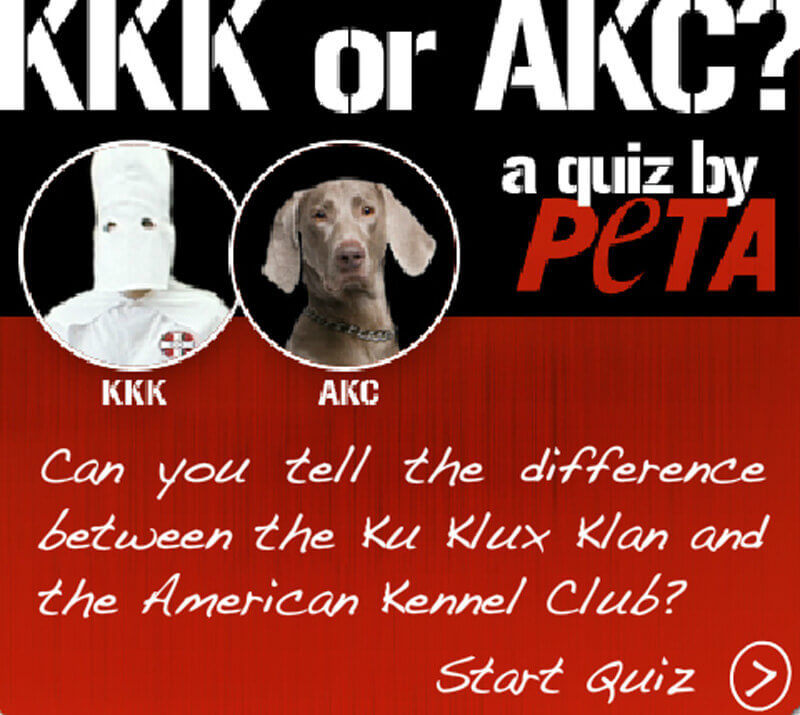 kkk akc game