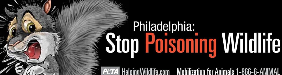 Philadelphia, Stop Poisoning Squirrels!