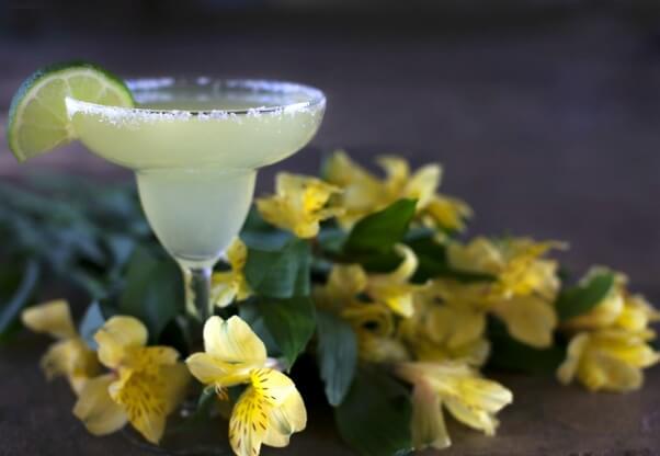 Margarita drink cocktail