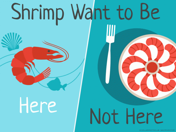 peta-social-10-reasons-not-eat-shrimp-v02