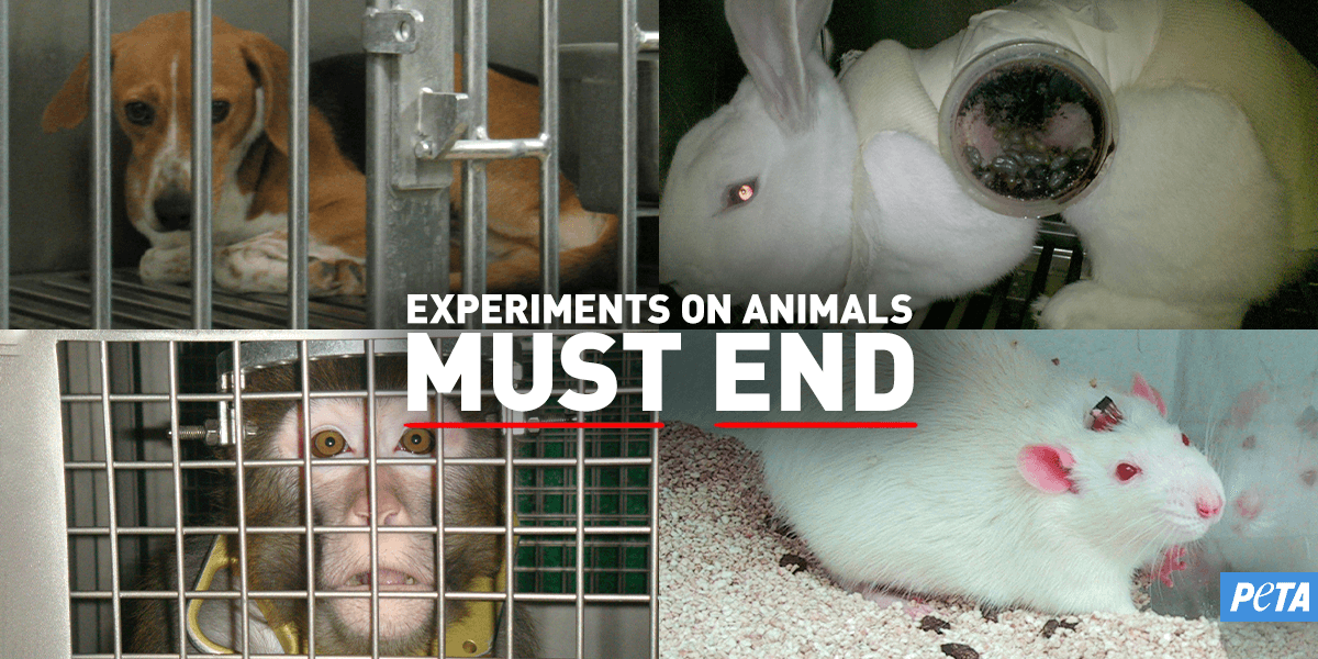 history of animal testing
