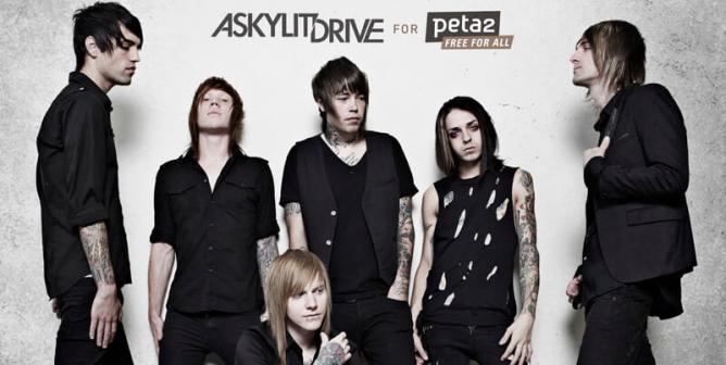 A Skylit Drive PSA