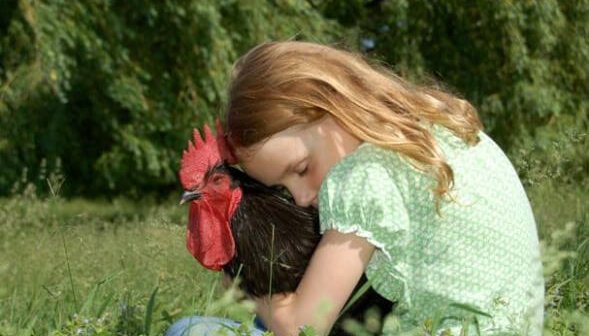 These Videos Are Proof That Kids Don’t Want to Eat Meat