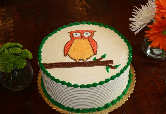 Vegan-Owl-Strawberry-Cake