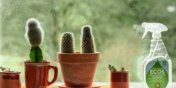 7 Cruelty-Free Surface Cleaners to the Rescue