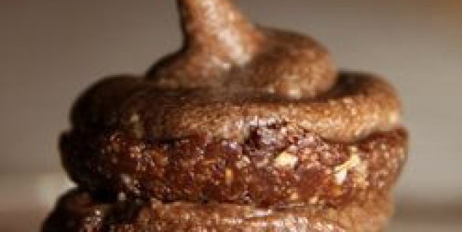 Raw Chocolate Cake
