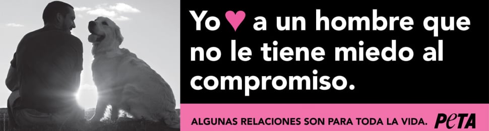 YO ♥ A UN HOMBRE QUE NO LE TIENE MIEDO AL COMPROMISO