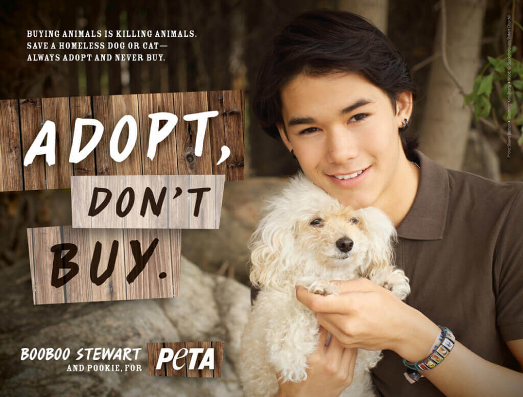 BOOBOO STEWART: ADOPT, DON'T BUY (1) PSA PETA