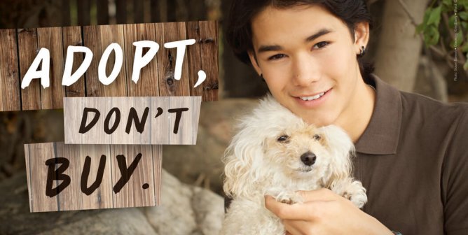 BOOBOO STEWART: ADOPT, DON'T BUY (1) PSA PETA