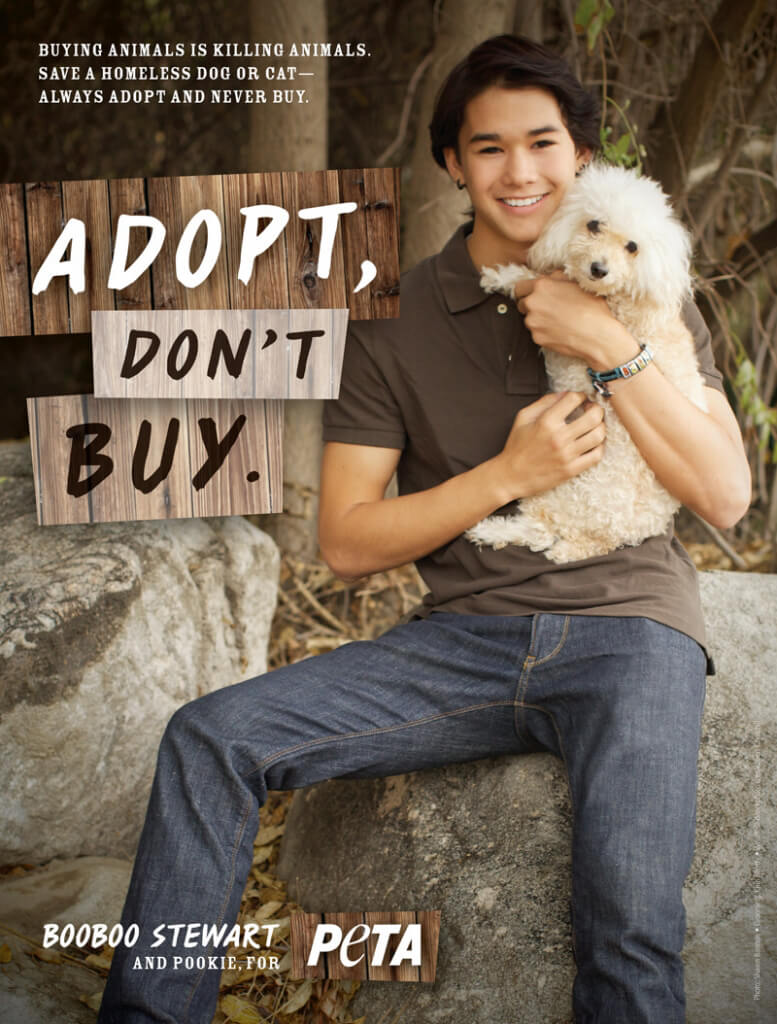 BOOBOO STEWART: ADOPT, DON'T BUY (2) PSA PETA