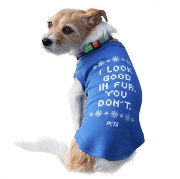 peta catalog dog sweater