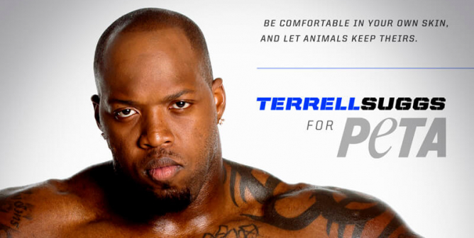 Terrell Suggs