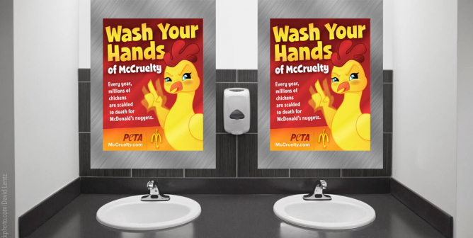 Wash Your Hands of McCruelty (Restroom Mirror)