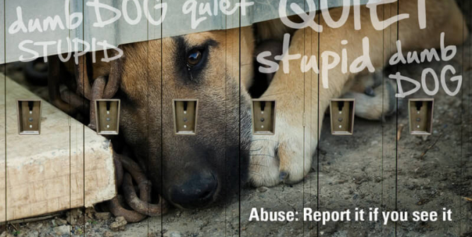 Abuse: Report It if You See It (School Lockers)