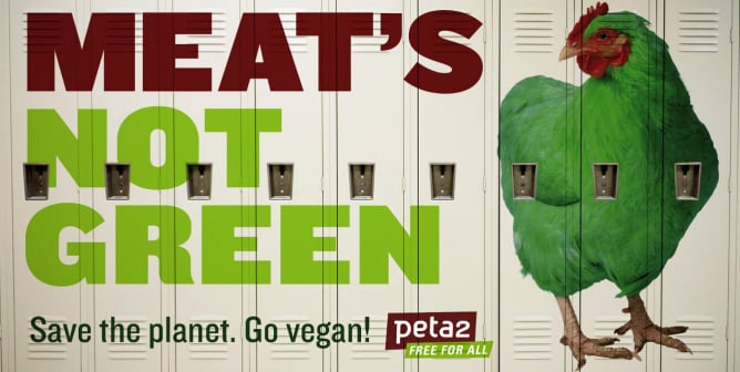 Meat’s Not Green (School Lockers)