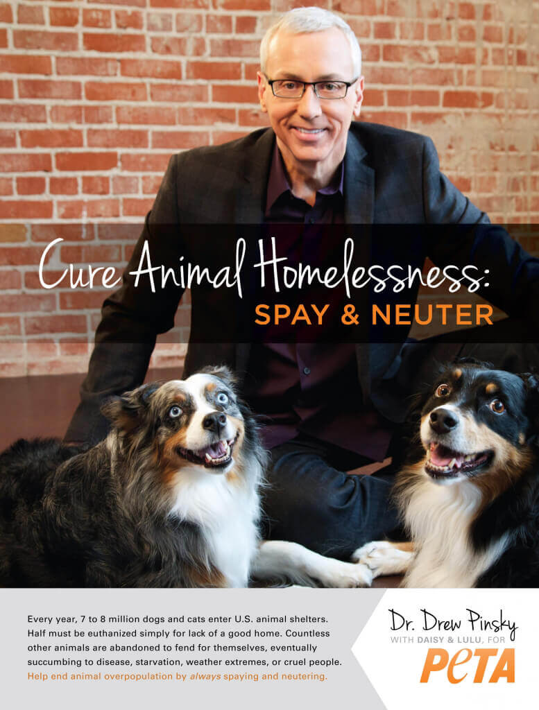 Dr. Drew Pinsky: Cure Animal Homelessness PSA