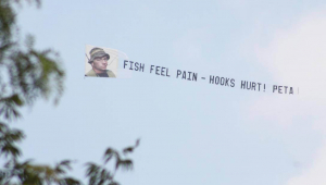 Fish Feel Pain. Hooks Hurt! (Aerial Banner)