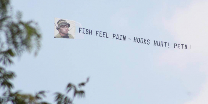 Fish Feel Pain. Hooks Hurt! (Aerial Banner) PSA
