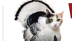 Kids: If You Wouldn’t Eat Your Cat, Why Eat a Turkey?