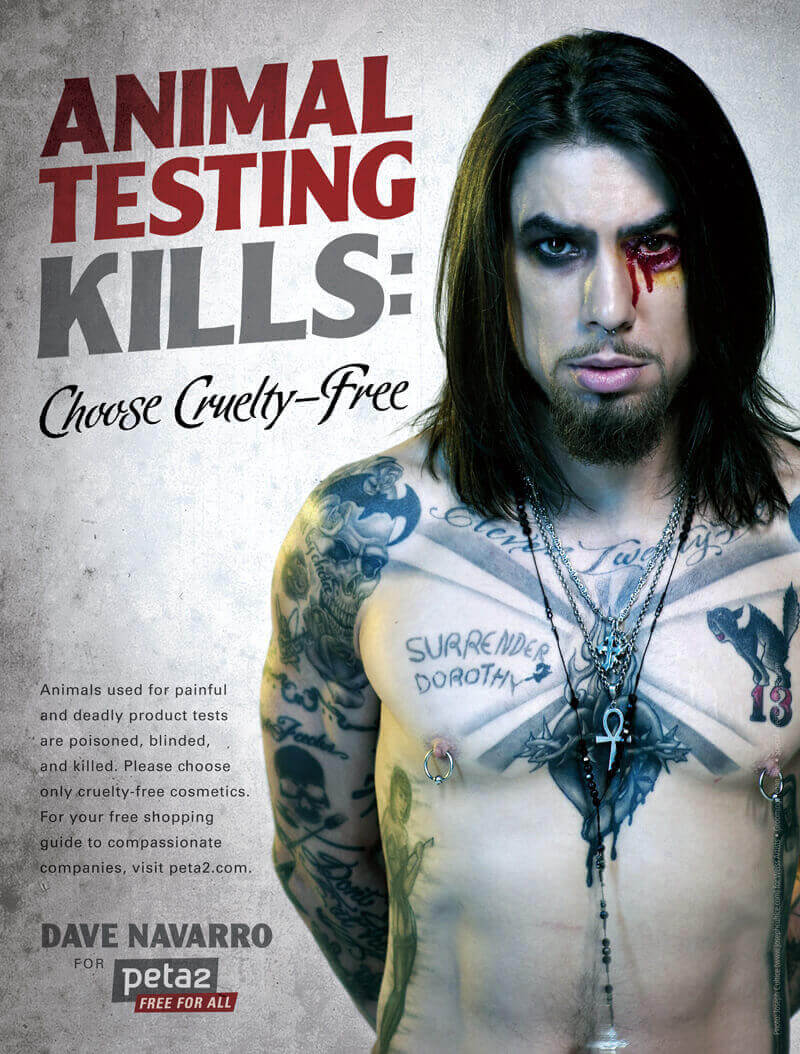 Dave Navarro PSA