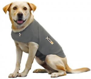 Thundershirt