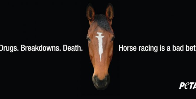 Horse Racing Is a Bad Bet PSA