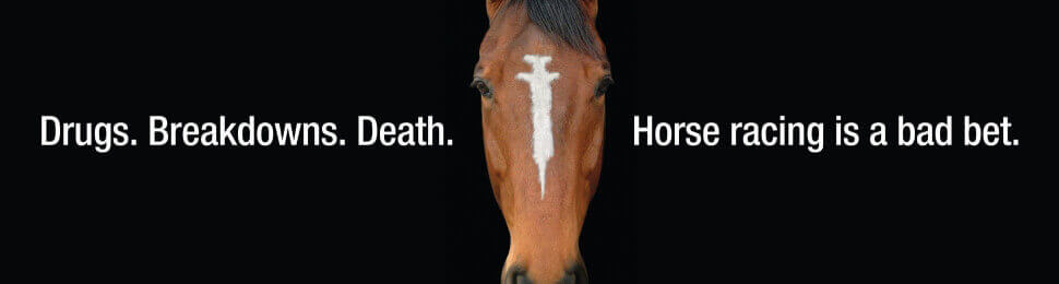 Horse Racing Is a Bad Bet