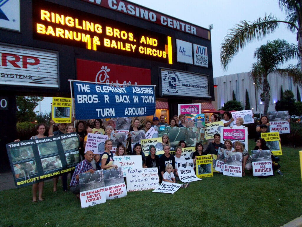 Ringling Bros. Protest