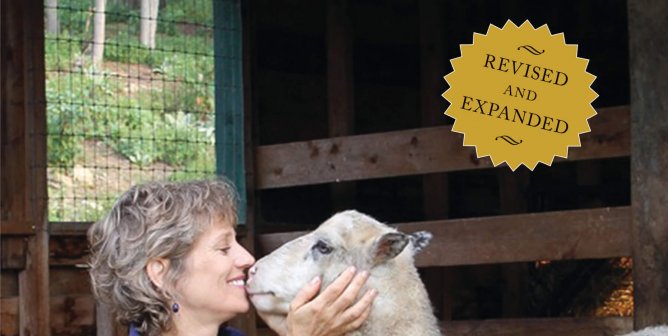 Summer Must-Read: Animal Camp by Kathy Stevens