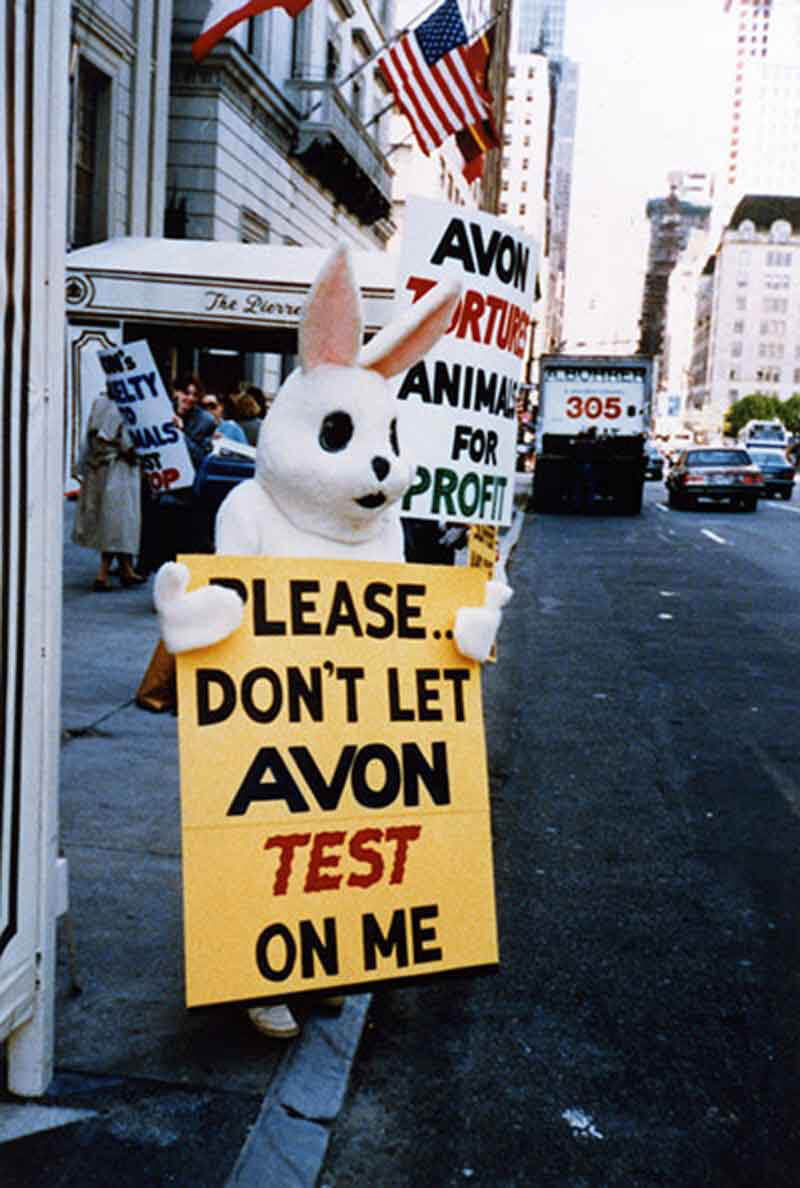 1989 – Avon, Benetton, Mary Kay, Amway, Kenner, Mattel, and Hasbro to Stop Testing on Animals