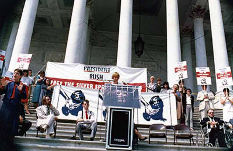 1991 – Silver Spring Monkeys Case Heard by the Supreme Court