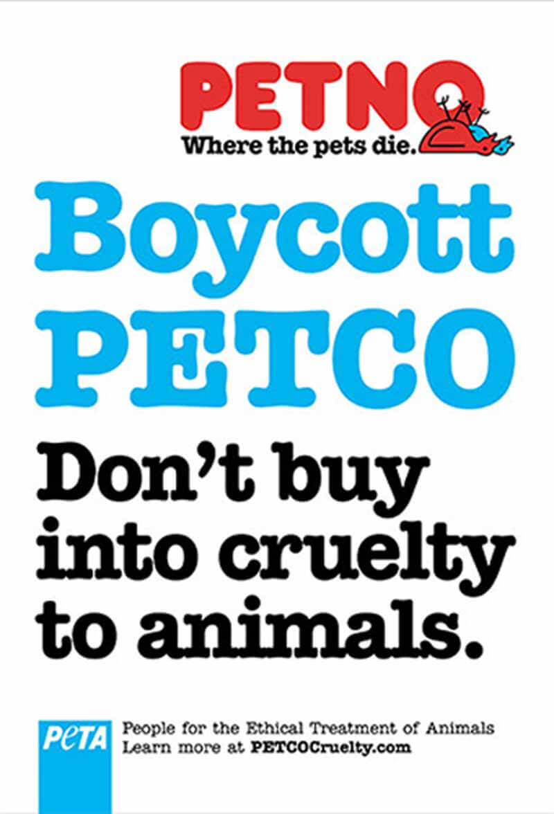 2005 – Petco