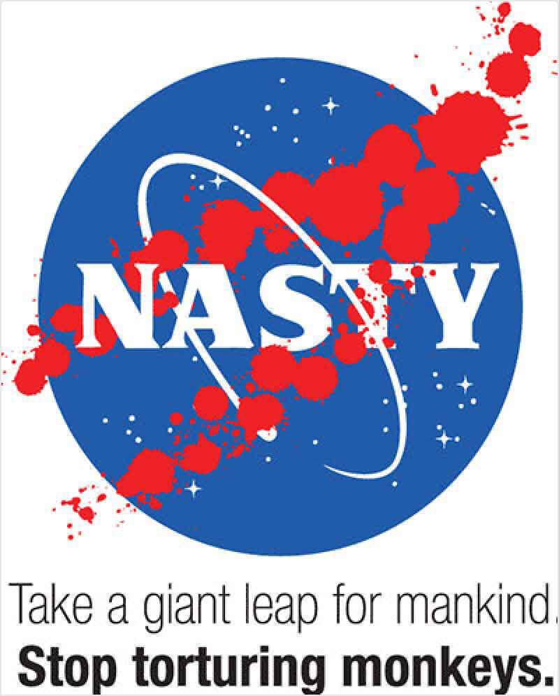 2010 – NASA Monkeys