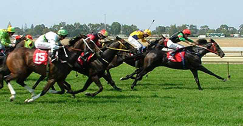 2012 – Horse-Racing