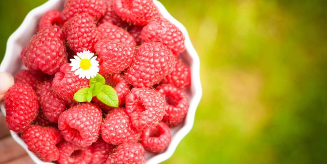 5 Best Toppings for Your Vegan Froyo