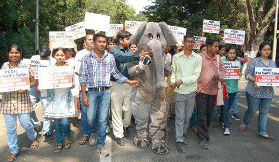 Protesters Demand Action for Sunder