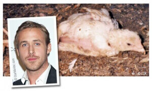 Hey, Girl, Did You Know That It'S Ryan Gosling'S Birthday?