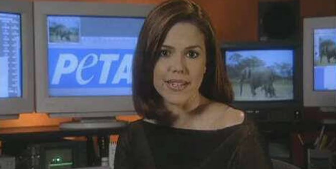 Maria Celeste: Circus Cruelty