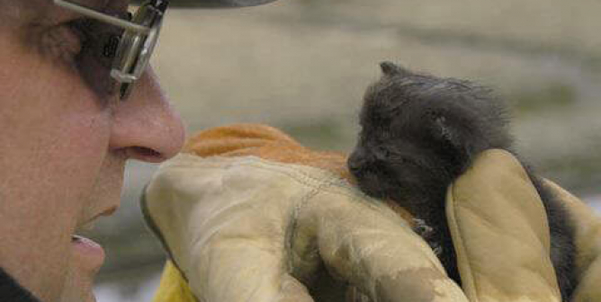 Sedrick Ellis: Disaster Preparedness for Animals