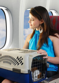 Traveling With Companion Animals