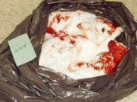 Animal Tests | PETA Animal Tests | PETA